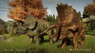 Triceratops in Jurassic World Evolution 3 (Image via Frontier Developments)